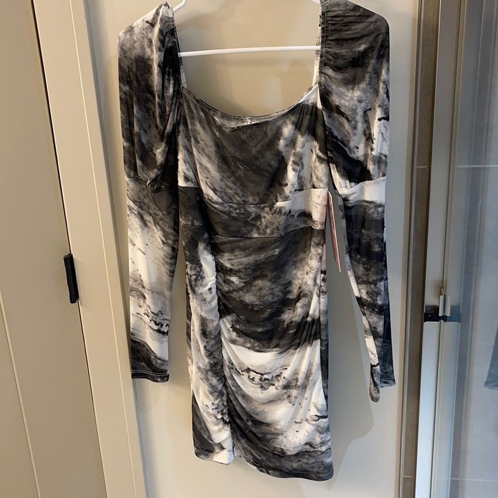 Sheer body con long sleeve dress